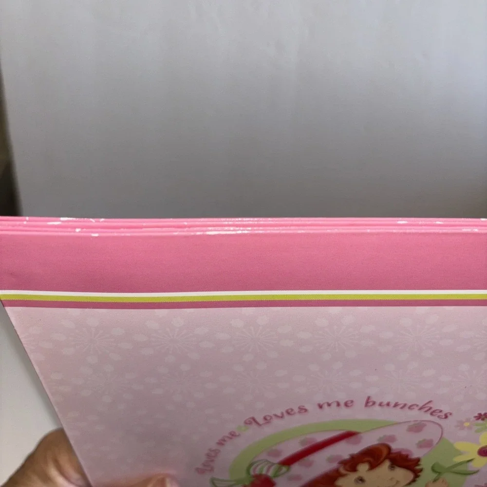 Vintage 2006 American Greetings Strawberry Shortcake School Folder Lot Of 2
